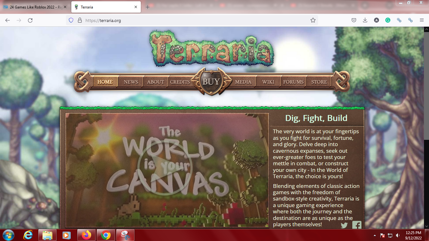 Terraria